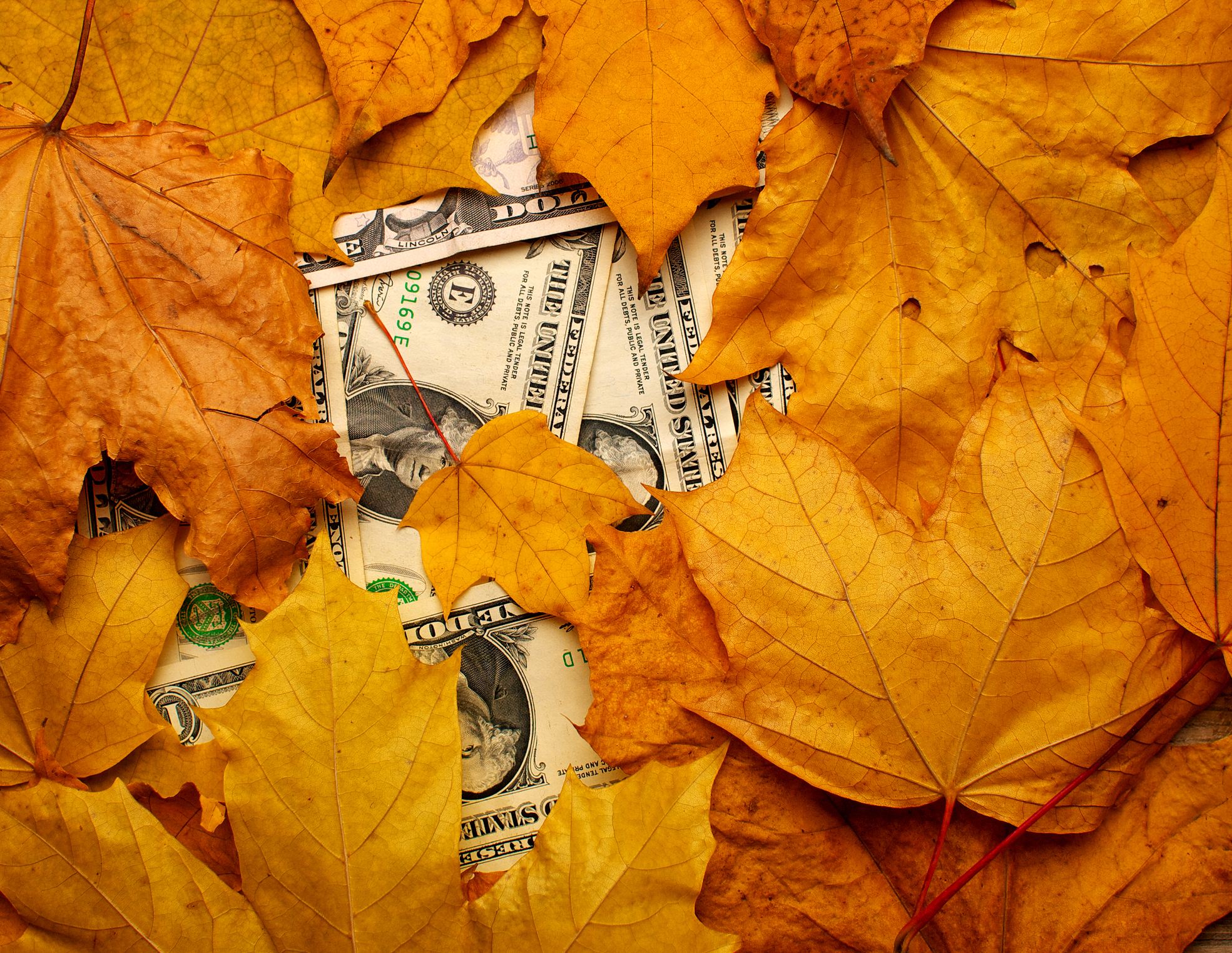 Harvesting Money
