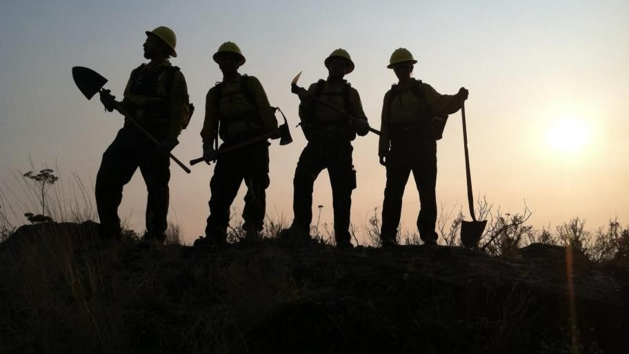 Wildland Firefighters