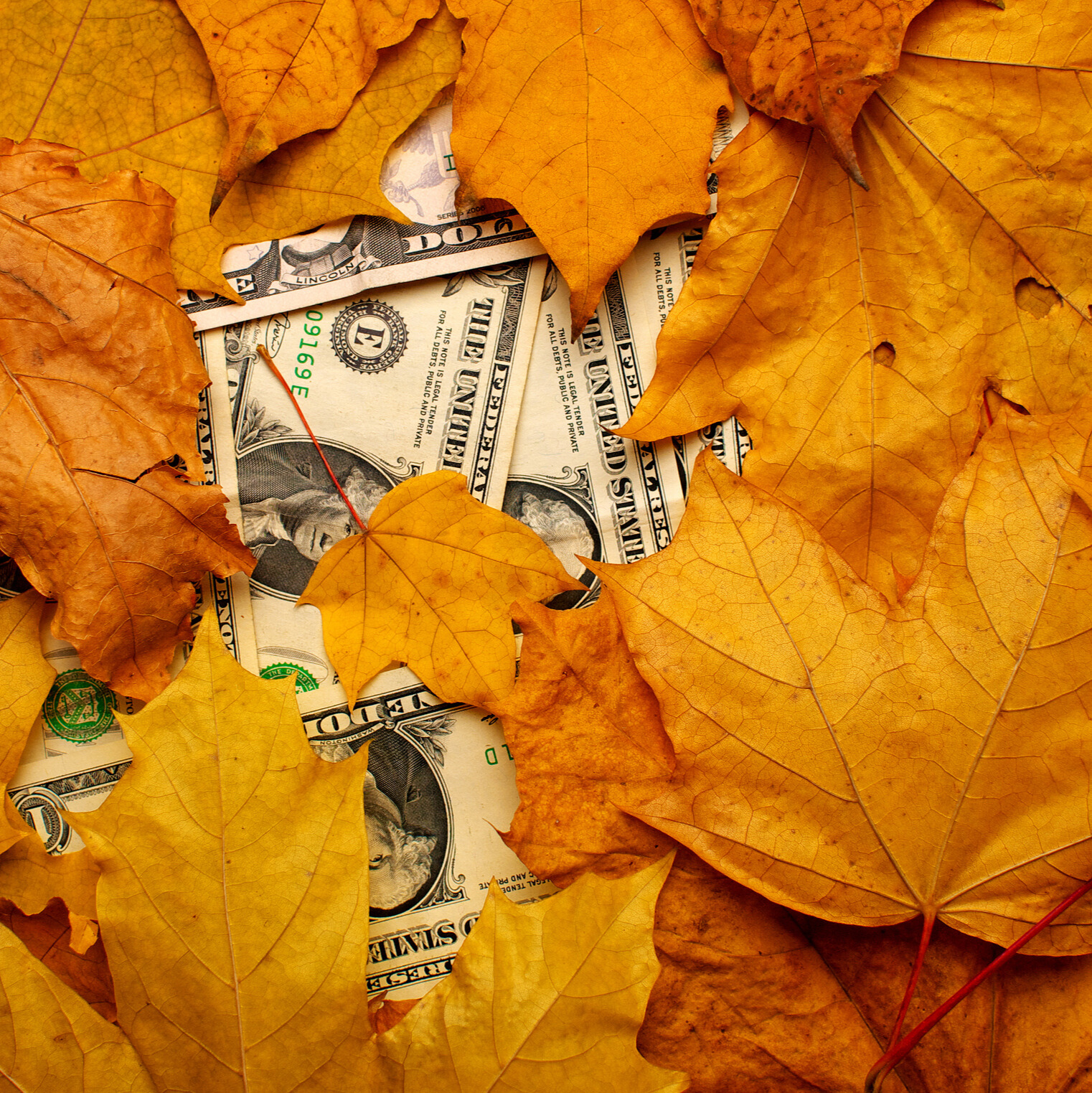 Harvesting Money