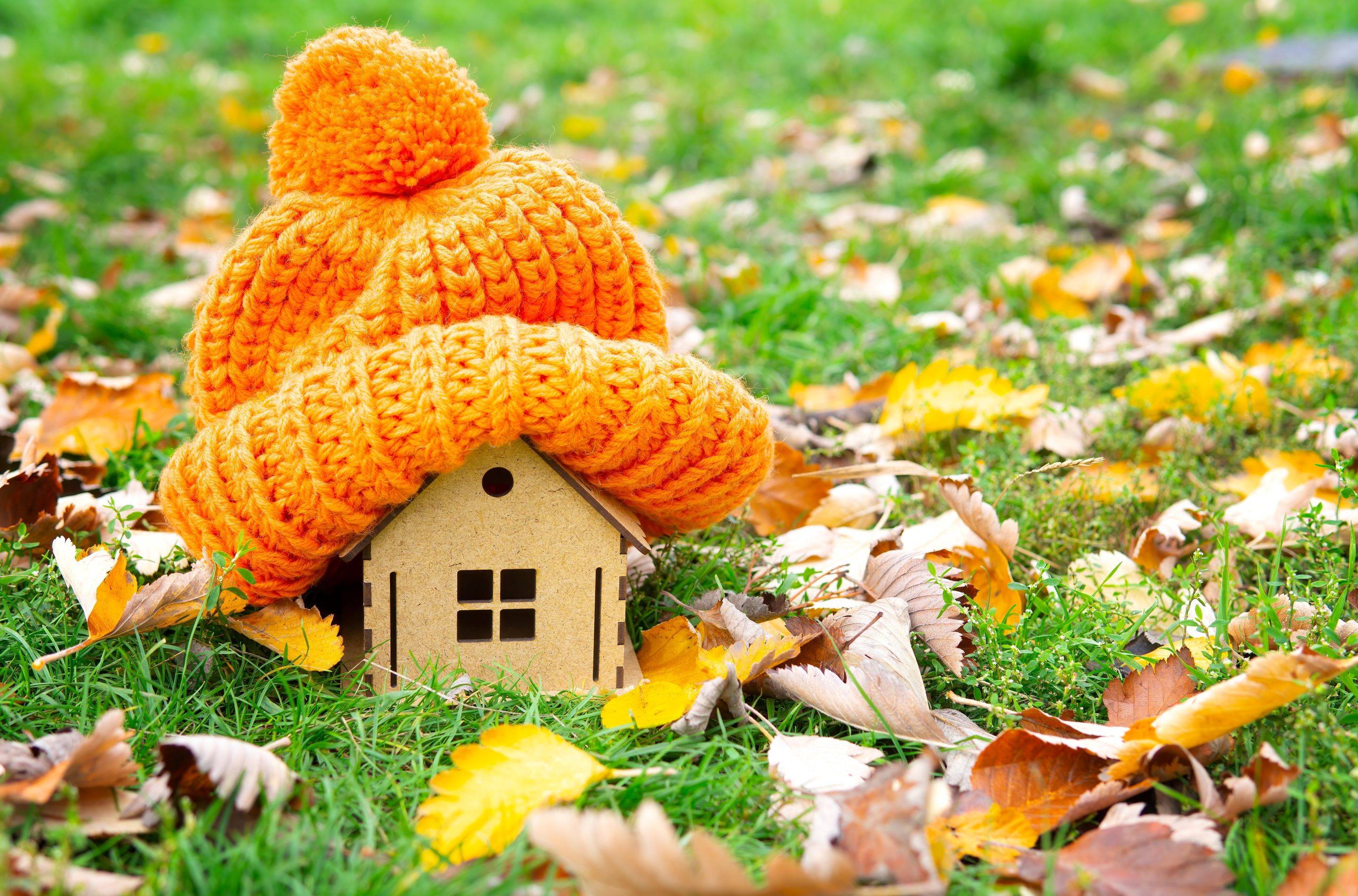 Wooden toy house in grass with fall leaves topped by orange winter beanie hat