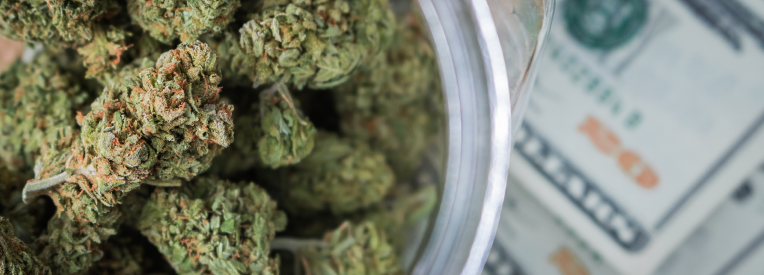 Cannabis plant with money