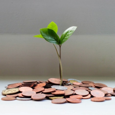 Plant growing from pile of coins